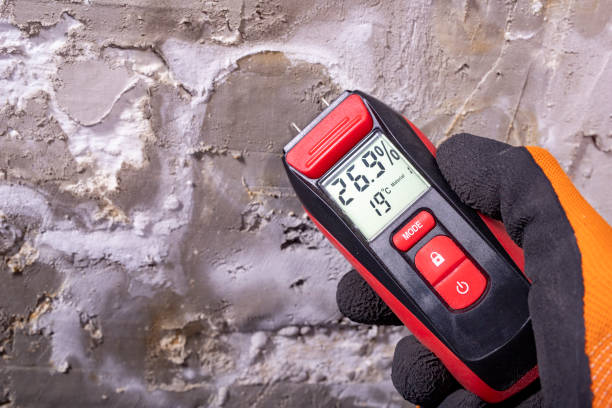 Best Certified Mold Removal  in Anton, TX